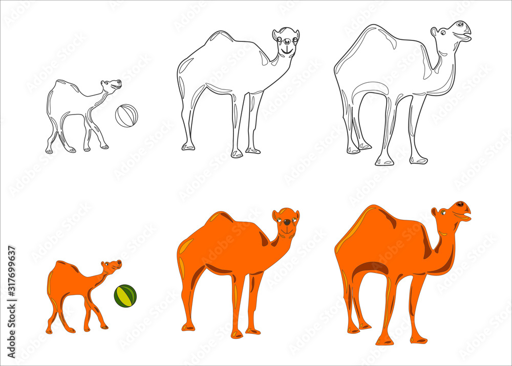verblud4 copy copy verblud4 copy copy
