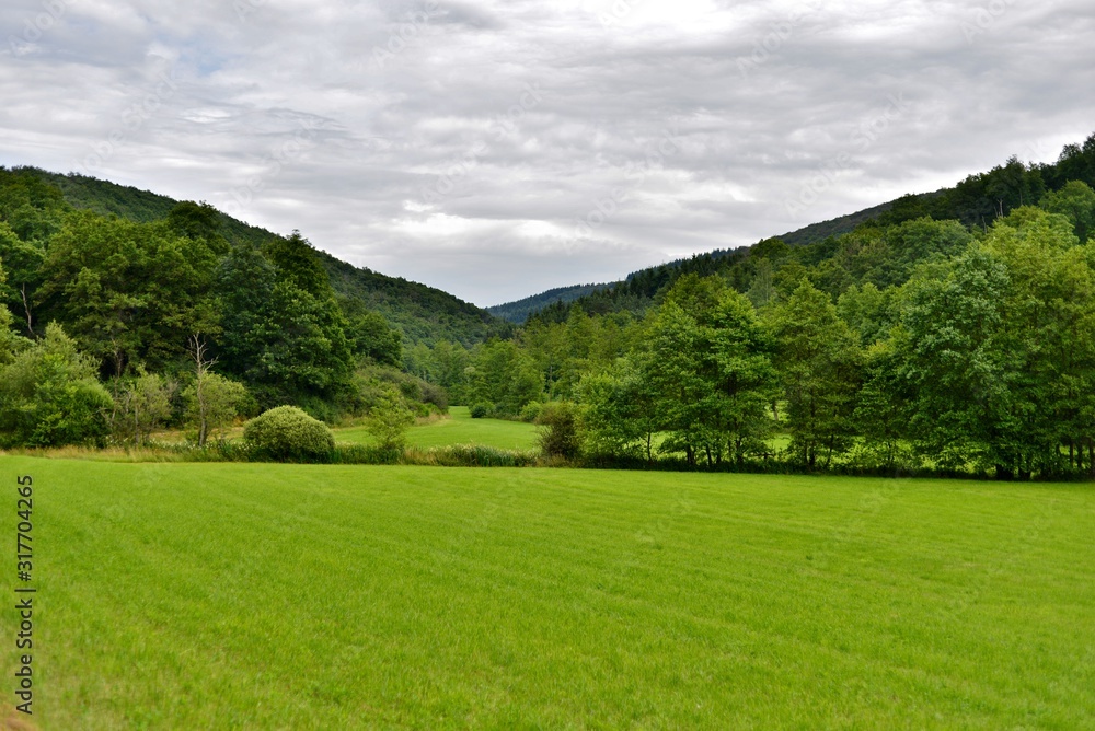 landscape of meadow, hills and trees landscape of meadow, hills and trees