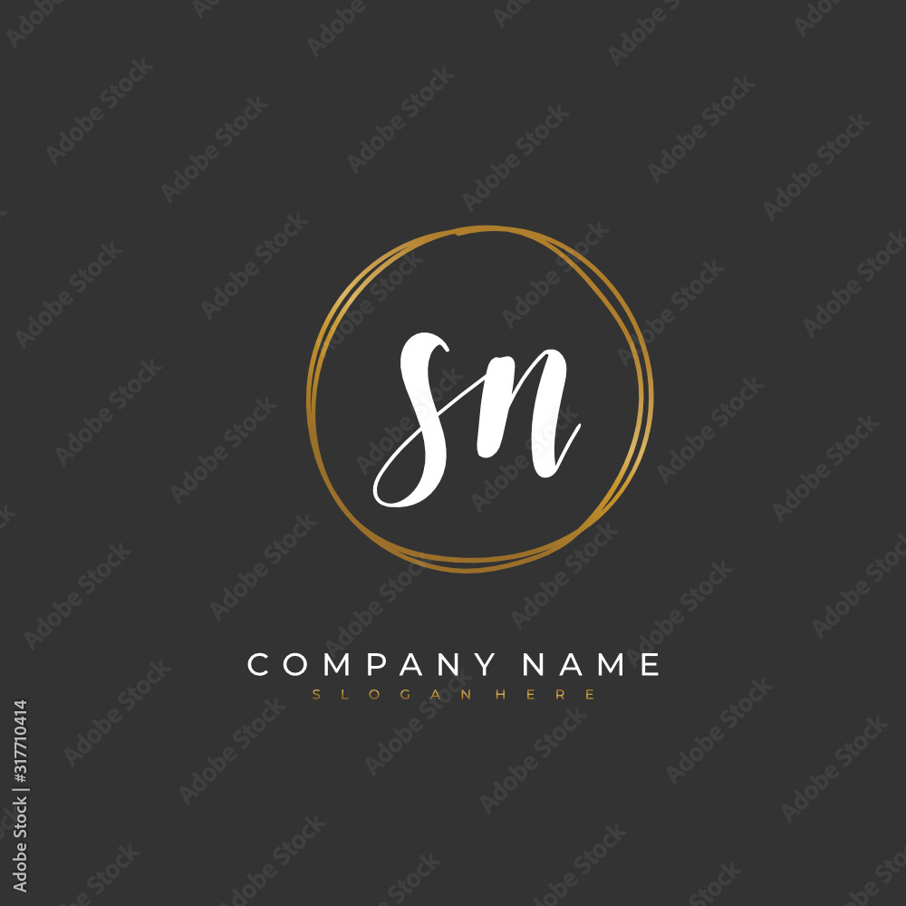 Handwritten initial letter S N SN for identity and logo. Vector logo template with handwriting and signature style. Handwritten initial letter S N SN for identity and logo. Vector logo template with handwriting and signature style.