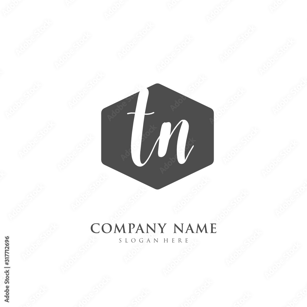 Handwritten initial letter T N TN for identity and logo. Vector logo template with handwriting and signature style. Handwritten initial letter T N TN for identity and logo. Vector logo template with handwriting and signature style.