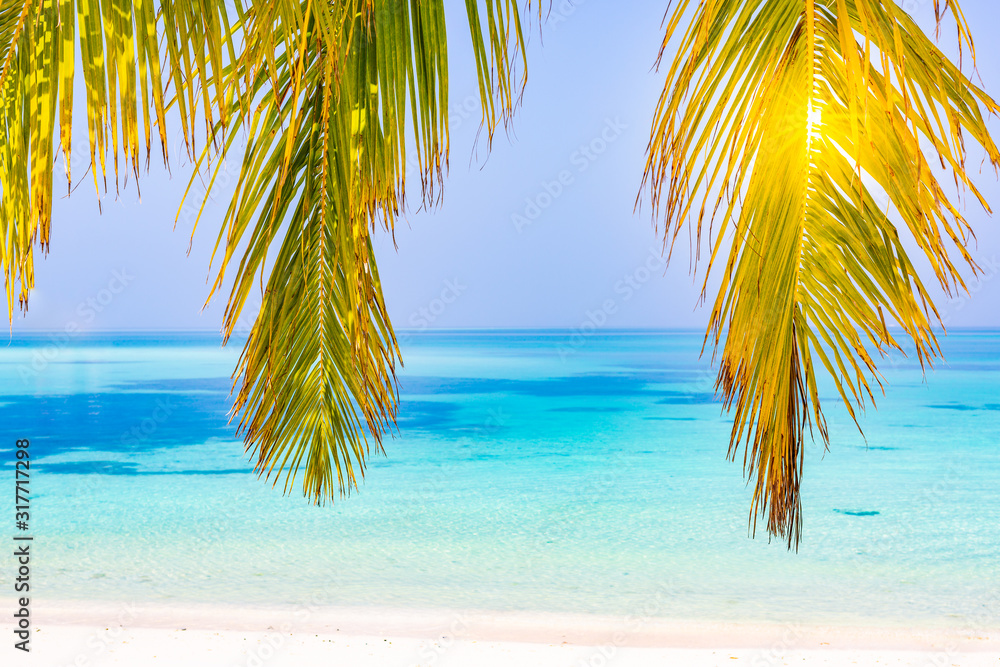 Naklejka premium Palm and tropical beach. Peaceful nature, seascape and beach panorama