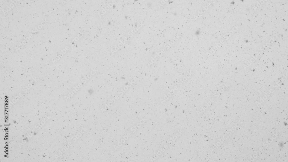 falling snow gently falls and swirls on a winter day. Slow motion falling snow gently falls and swirls on a winter day. Slow motion