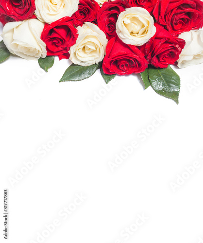Red and white roses on white background