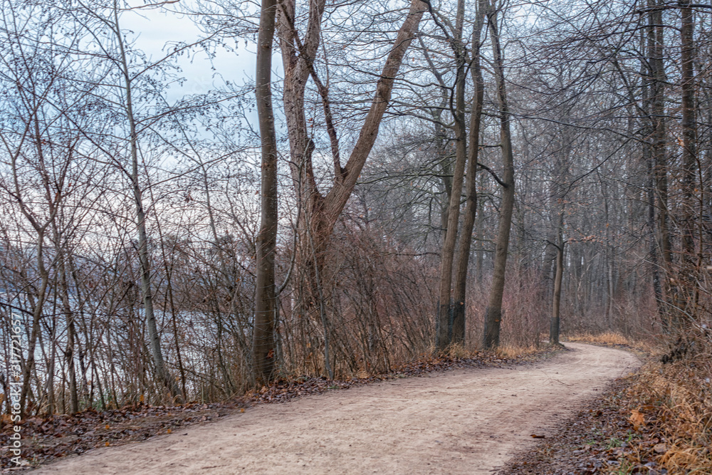 wald sonne winter spaziergang deutschland natur see weg wald sonne winter spaziergang deutschland natur see weg