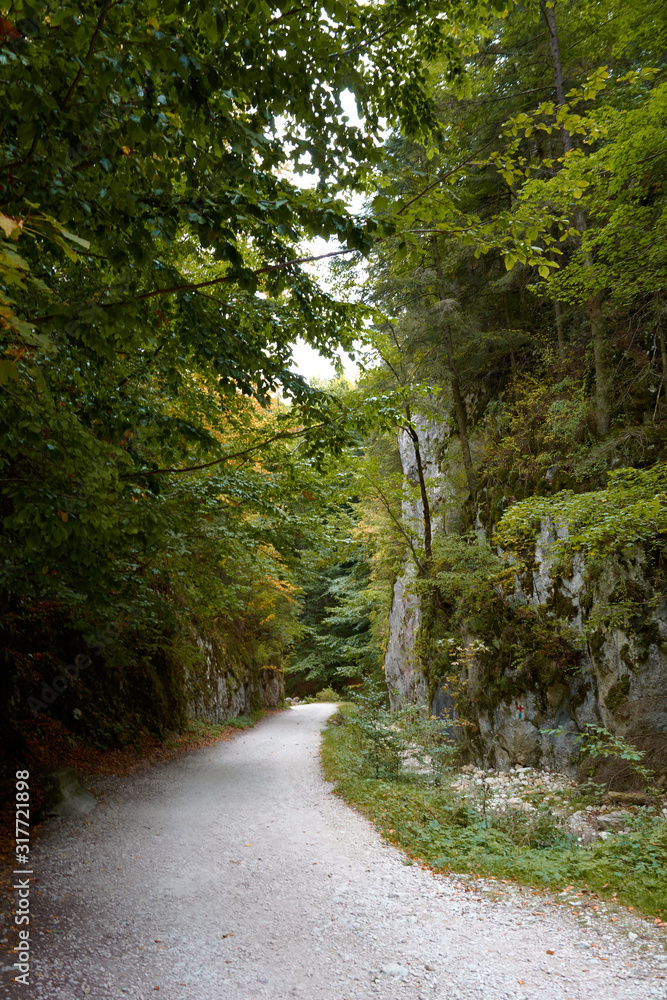 Fototapeta premium Gorge Zarnestiului Prapastiei in Carpathian Mountains, Zarnesti, Romania. Nature preserve Piatra Craiului National Park. The walkway among the rocks, autumn.