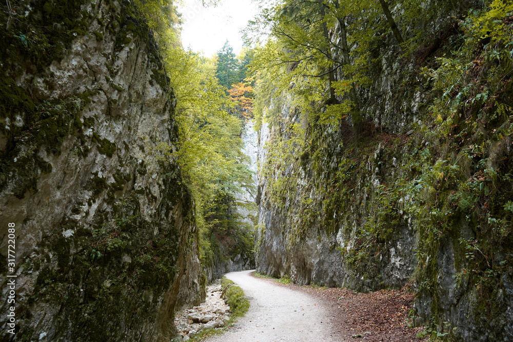 Gorge Zarnestiului Prapastiei in Carpathian Mountains, Zarnesti, Romania. Nature preserve Piatra Craiului National Park. The walkway among the rocks, autumn.