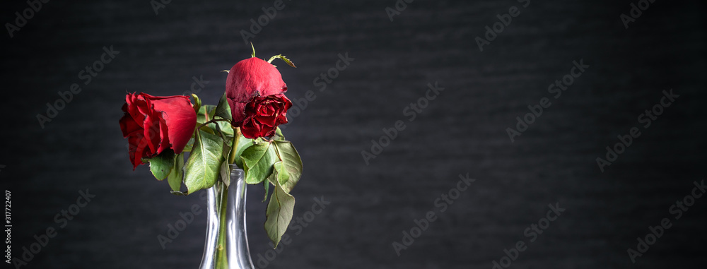 Withered rose on dark gray background and wooden table with fall petals and leaves, design concept of sad Valentine's day romance, broken up, copy,space. Withered rose on dark gray background and wooden table with fall petals and leaves, design concept of sad Valentine's day romance, broken up, copy,space.