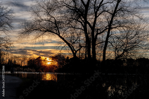  Bäume an einem See bei Sonnenuntergang im Winter in Deutschland