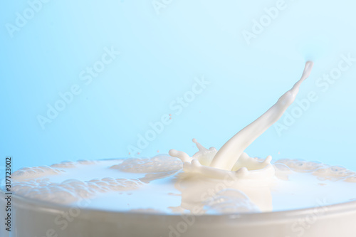 splash on the surface of white milk on a blue background