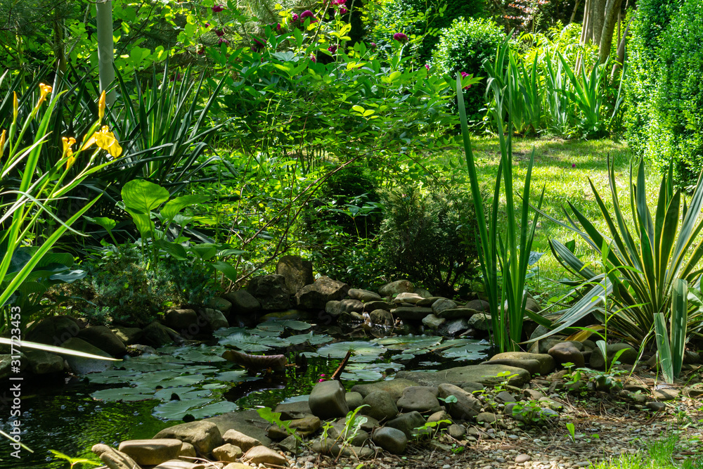 Obraz premium Beautiful small garden pond with stone shores in the spring. On shore among stones, striped yucca of Gloriosa Variegata grows. Selective focus. Nature concept for design.