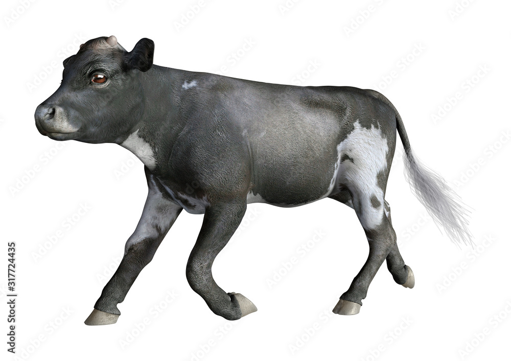 Fototapeta premium 3D Rendering Calf on White