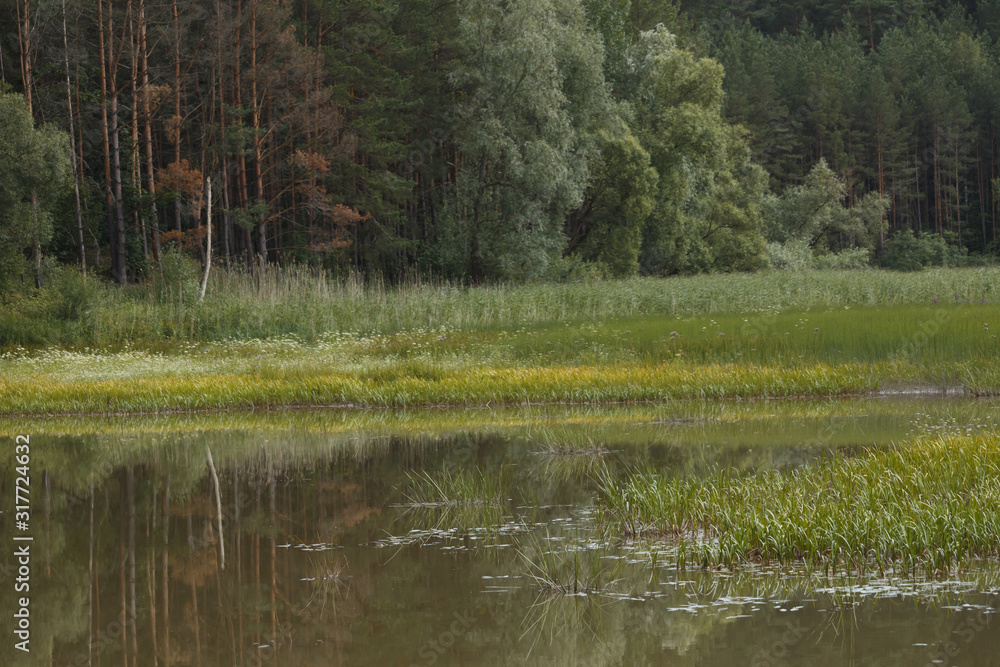 Obraz premium Reflection of the landscape in the pond.