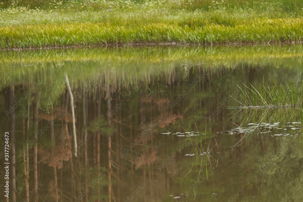 Reflection of the landscape in the pond. Reflection of the landscape in the pond.