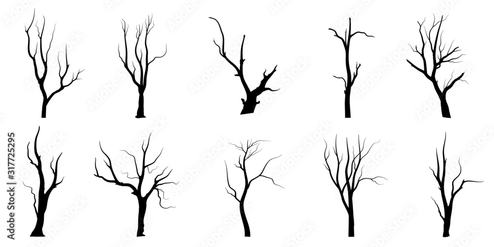 Naklejka premium Black Branch Tree or Naked trees silhouettes set. Hand drawn isolated illustrations.