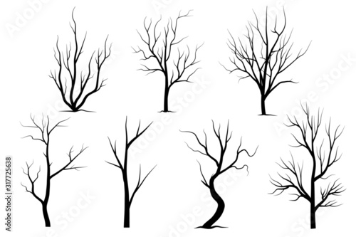 Black Branch Tree or Naked trees silhouettes set. Hand drawn isolated illustrations.