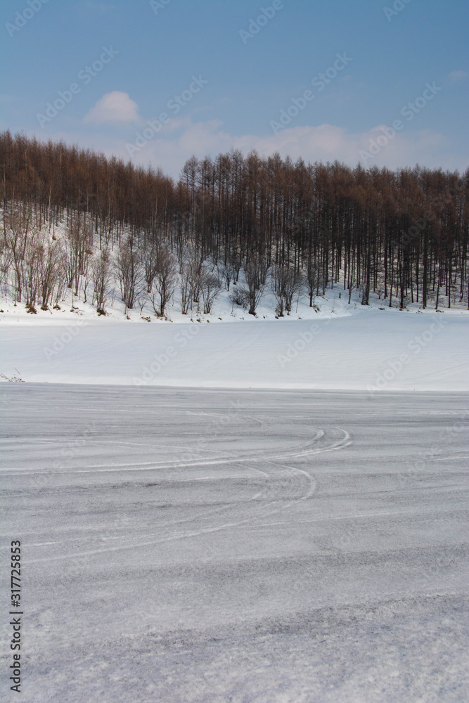 Fototapeta premium 融雪剤がまかれた雪の畑