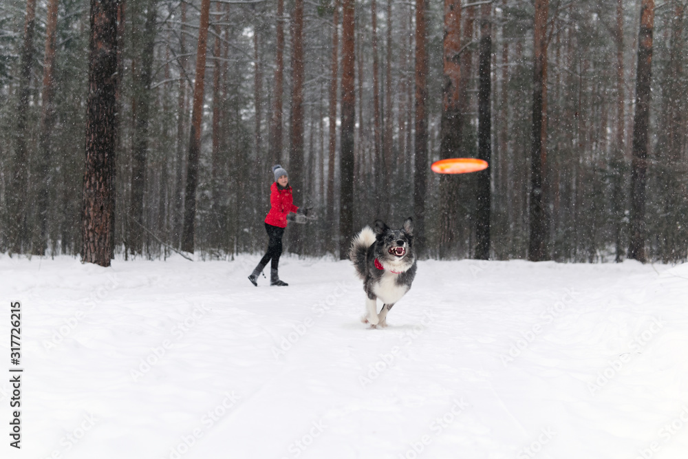 woman playing with a dog in a winter forest during a snowfall