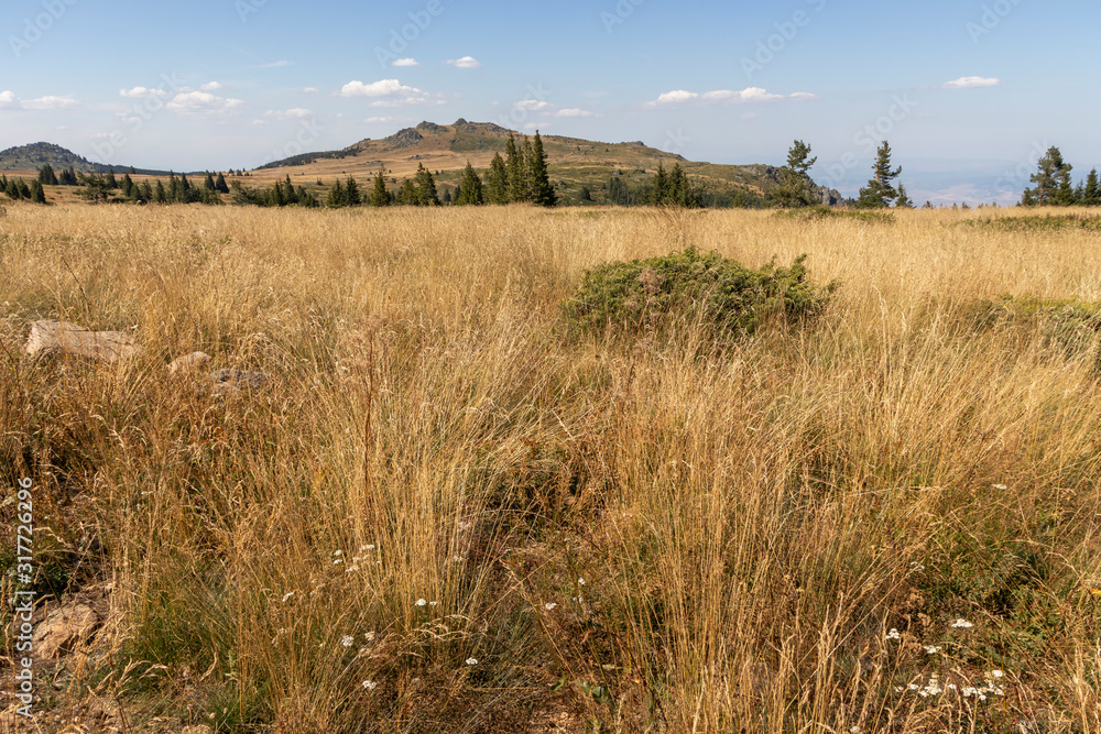 Amazing Autumn landscape of Vitosha Mountain, Bulgaria Amazing Autumn landscape of Vitosha Mountain, Bulgaria