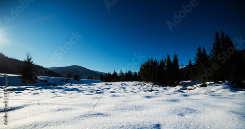 Winter mountain forest. Wonderful Winter Landscape. Snowy mountains and perfect blue sky. Amazing Nature background. Location place of Carpathian, Ukraine, Europe.