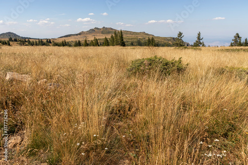 Amazing Autumn landscape of Vitosha Mountain  Bulgaria