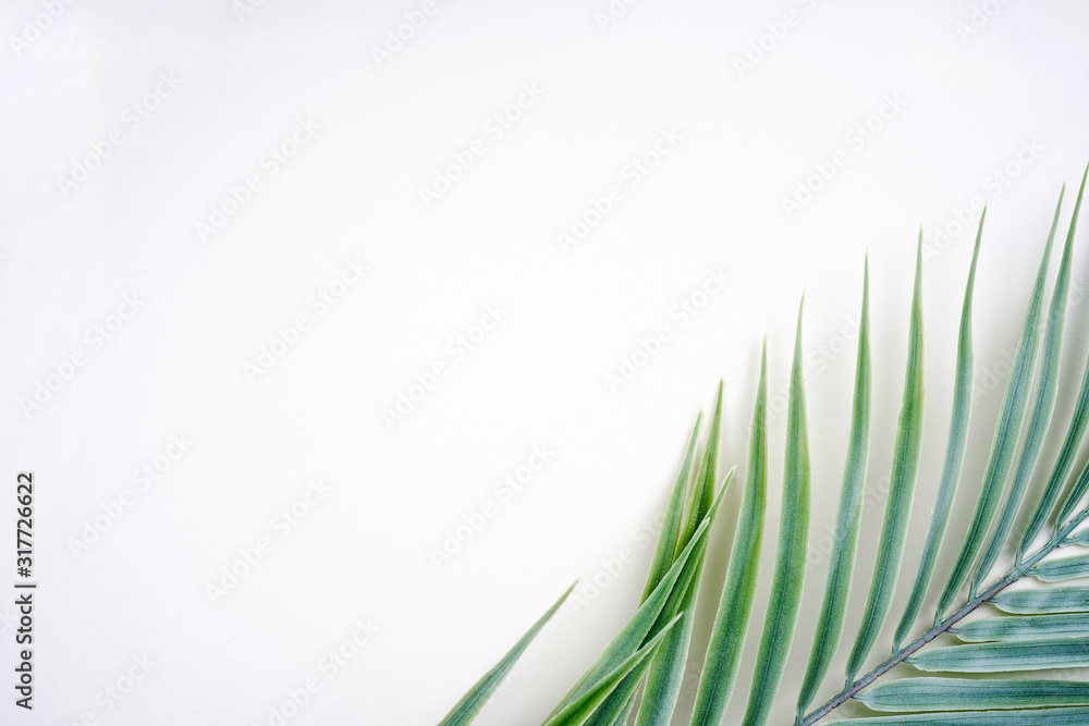 Obraz premium Palm leaf decoration on white background. Tropical frame, natural product, holyday concept. Top view, flay lay, copy space