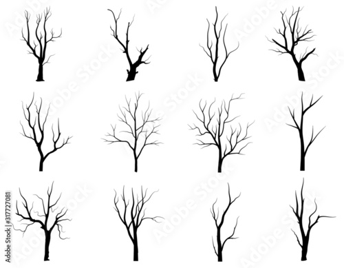 Black Branch Tree or Naked trees silhouettes set. Hand drawn isolated illustrations.