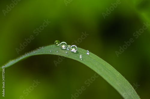 gota de agua sobre hoja verde
