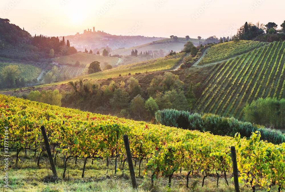 Beautiful valley in Tuscany, Italy. Vineyards and landscape with San Gimignano town at the background.	
