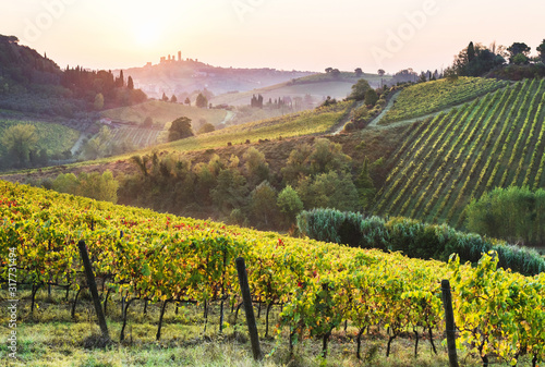 Beautiful valley in Tuscany, Italy. Vineyards and landscape with San Gimignano town at the background.	