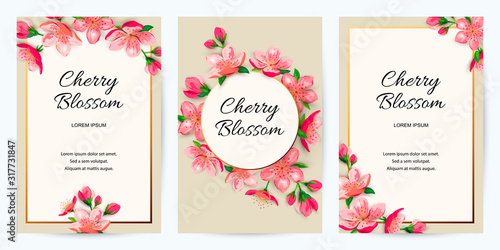 Spring invitations with blossom sakura  cherry flowers. Place for text. Great for oriental ivite  flyer  beauty offer  wedding  bridal shower  poster  baby shower  Mother s and Woman s day.