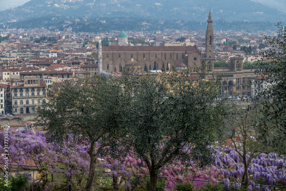 Panorama of Florence with a background of flowering plants