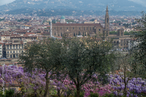 Panorama of Florence with a background of flowering plants © Alessio
