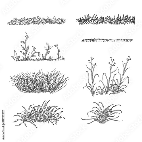 Vector Set of Sketch Grass Silhouettes