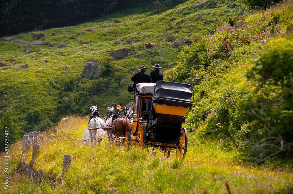 Obraz premium estate a Gstaad Svizzera