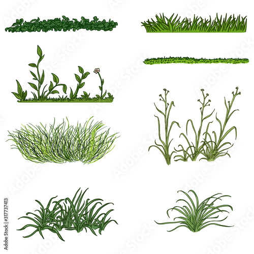Vector Set of Cartoon Green Grass Silhouettes on White Backround.
