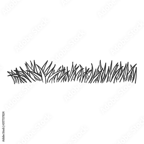 Vector Penciling Sketch Grass