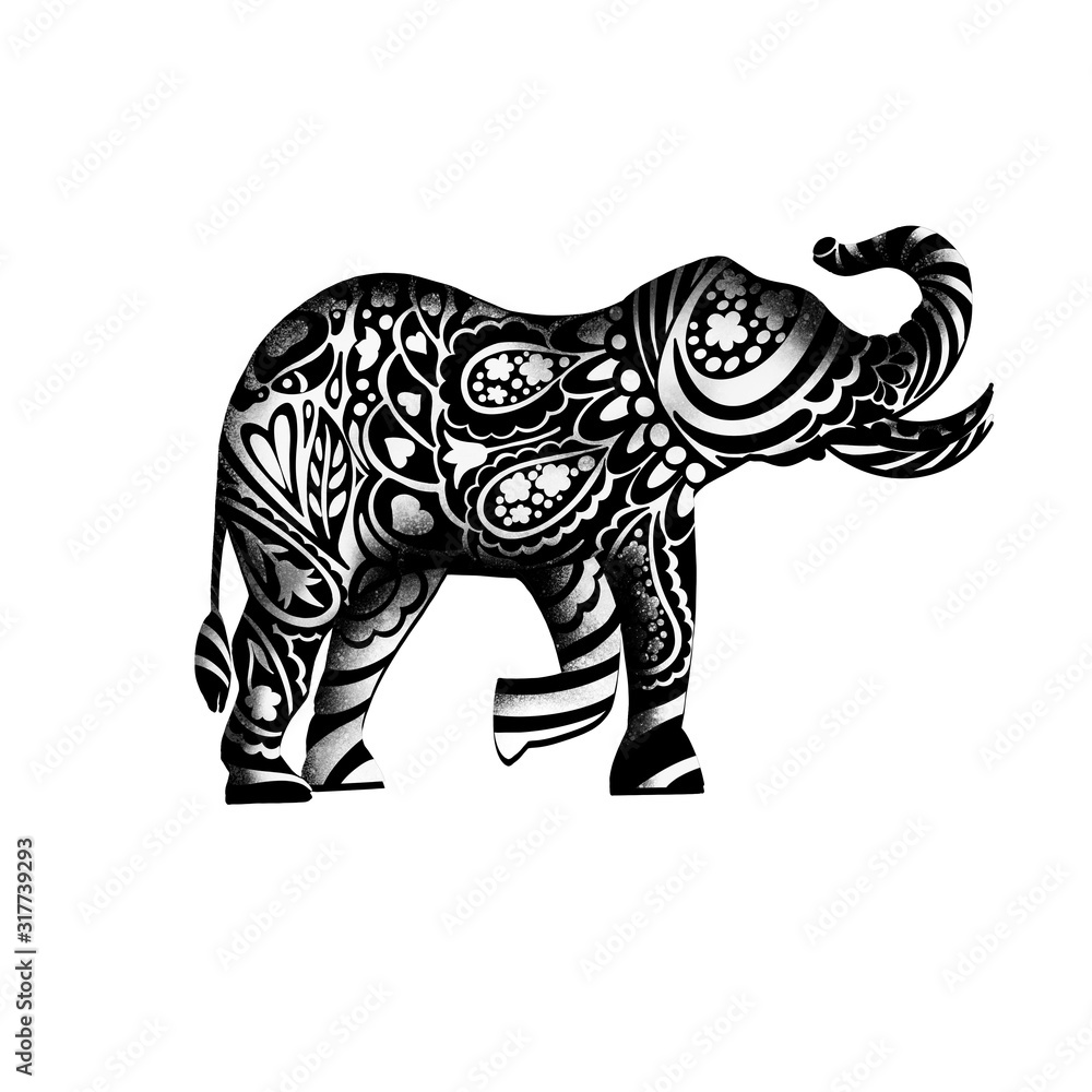 elephant isolated on white background elephant isolated on white background