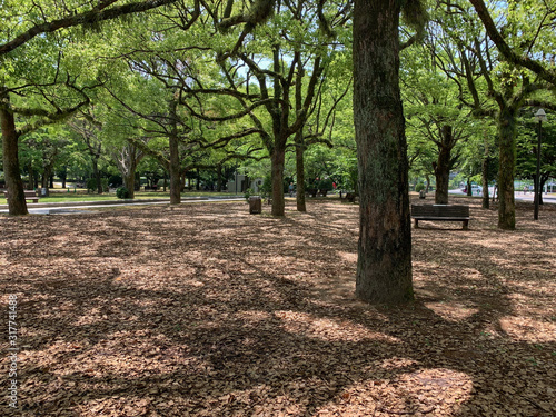 公園の風景