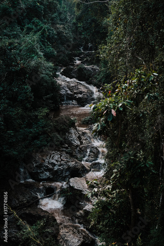 Mae Sa Waterfall Attractions natural green leaf