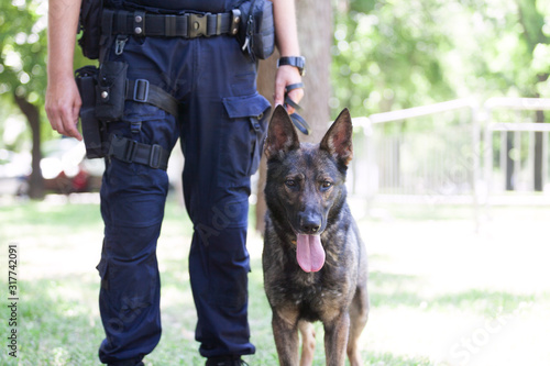 Policeman with Belgian Malinois police dog