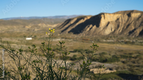 Desierto de Tabernas en la provincia de Almeria photo