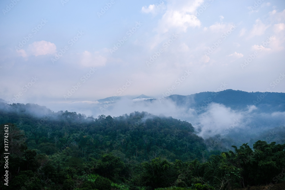 Aerial view of mist, cloud and fog hanging over a lush tropical rainforest in the morning.