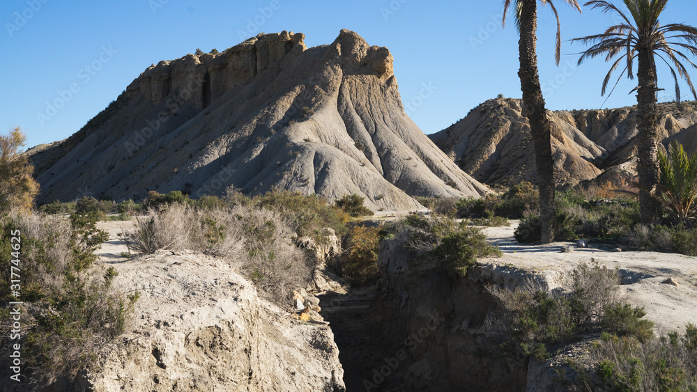 Monte seco en el desierto de Tabernas de la provincia de Almeria