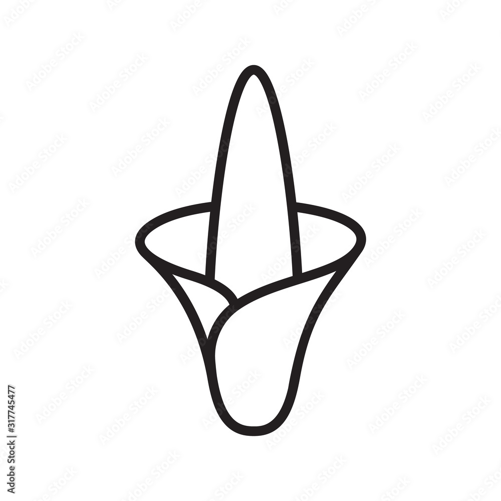 Konjac flower icon. Linear logo of Japanese devil's tongue, snake palm ...