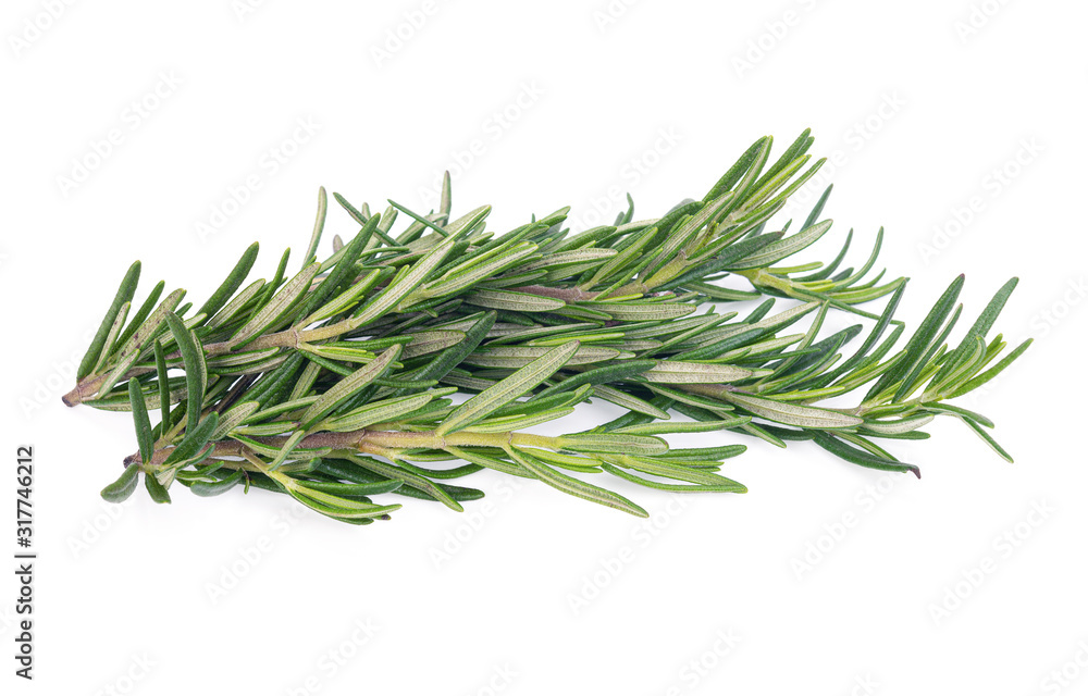 Fototapeta premium Rosemary isolated on white background
