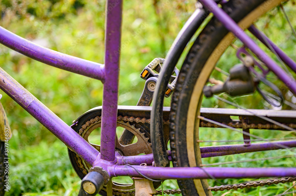 Parts of an abandoned weathered bike in a park. Parts of an abandoned weathered bike in a park.