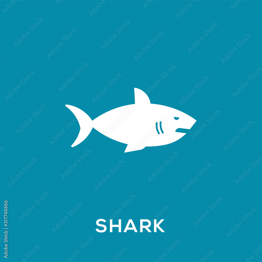 Shark vector icon, wild sea animal symbol. Trendy Flat style for graphic design, Web site, UI. EPS10. - Vector illustration Shark vector icon, wild sea animal symbol. Trendy Flat style for graphic design, Web site, UI. EPS10. - Vector illustration