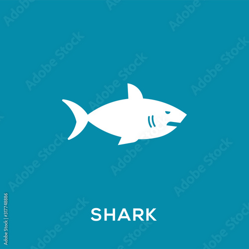Shark vector icon  wild sea animal symbol. Trendy Flat style for graphic design  Web site  UI. EPS10. - Vector illustration