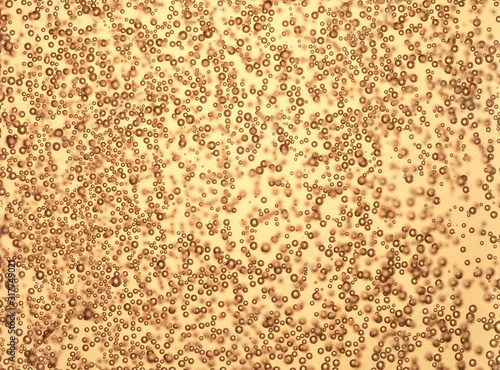 wine, champagne, drink, prosecco, alcohol, celebration, abstract, celebrating, bubble, flute, happy, year, celebrate, new, party, anniversary, luxury, bubbly, bokeh, toasting, success, light, slow, to