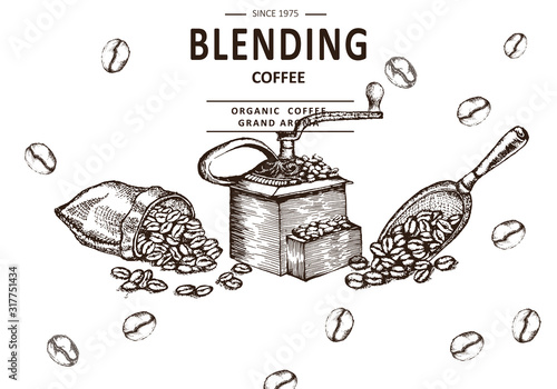 Herbal illustration on label packaging design. Hand drawn vector botanic set with bag, coffee beans.  photo